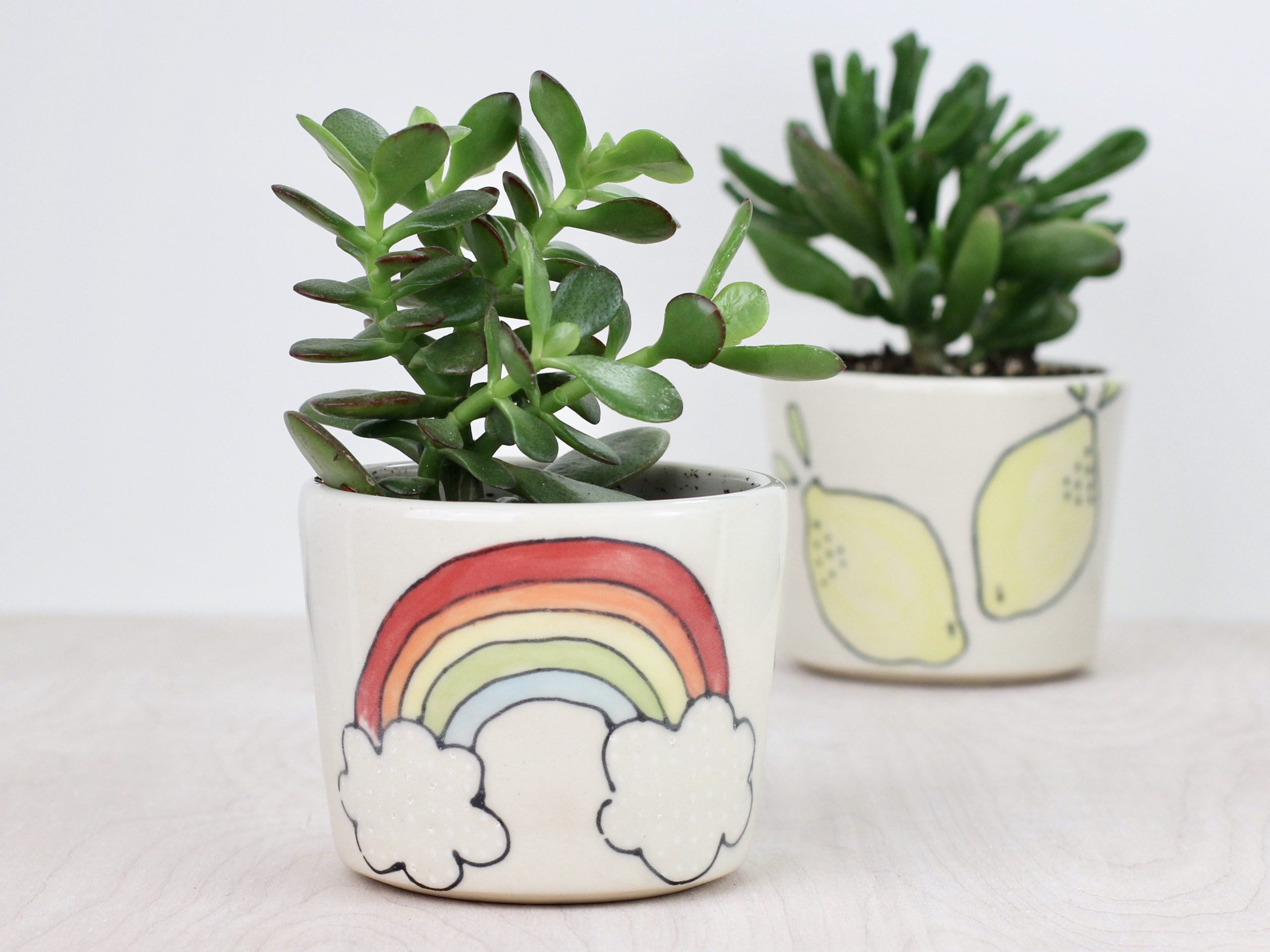 Succulent planters