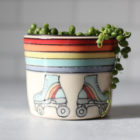 Rollerskates succulent planter