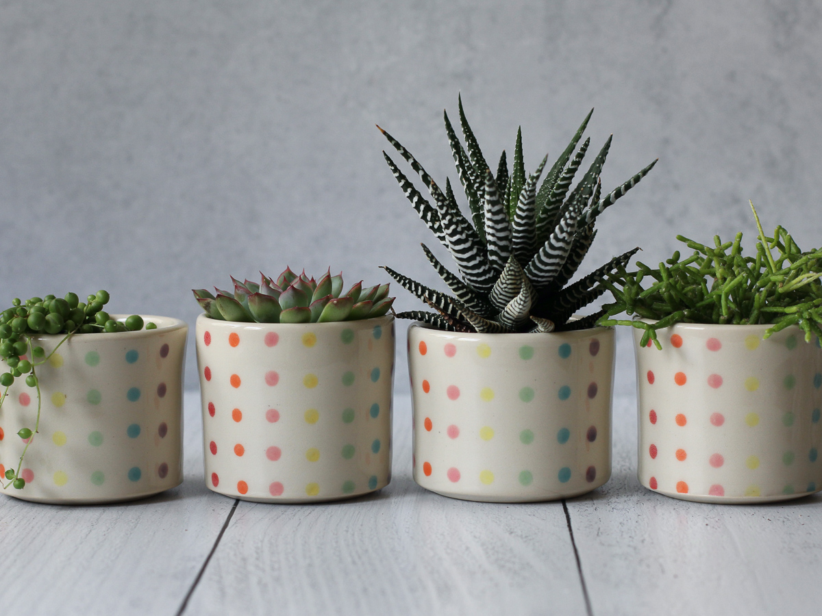 Candy Dot Small planters