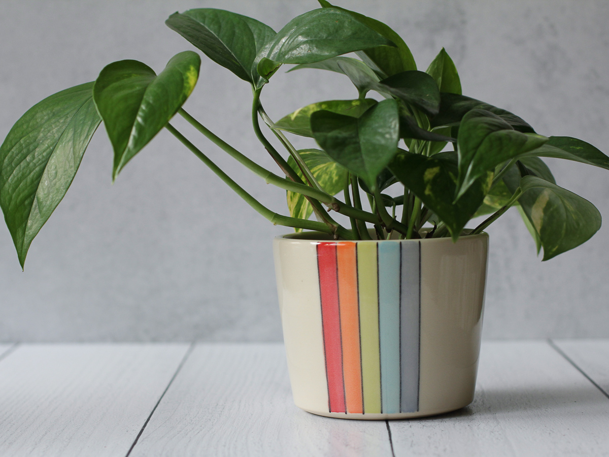 Rainbow stripe planter - medium