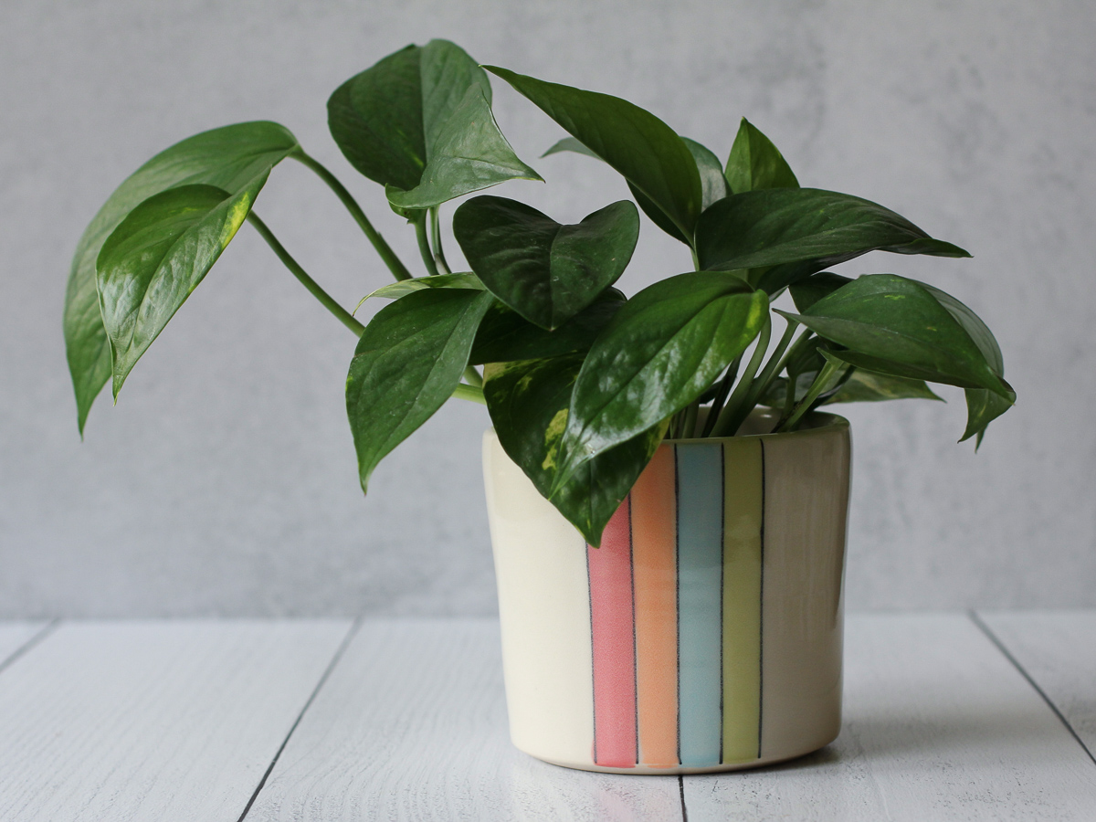 Neon Striple planter - medium - watermelon pink