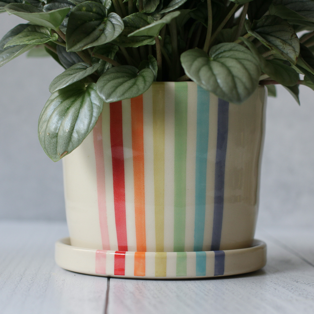 Rainbow stripe planter with saucer, medium