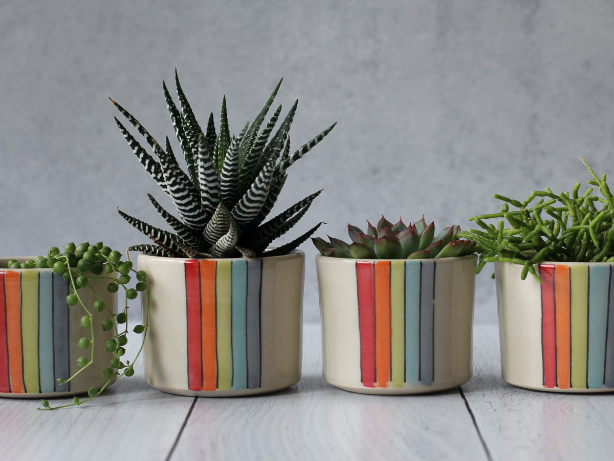 Rainbow stripe planters