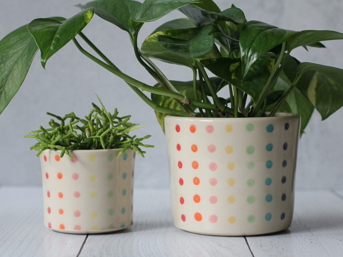 Candy Dot planters