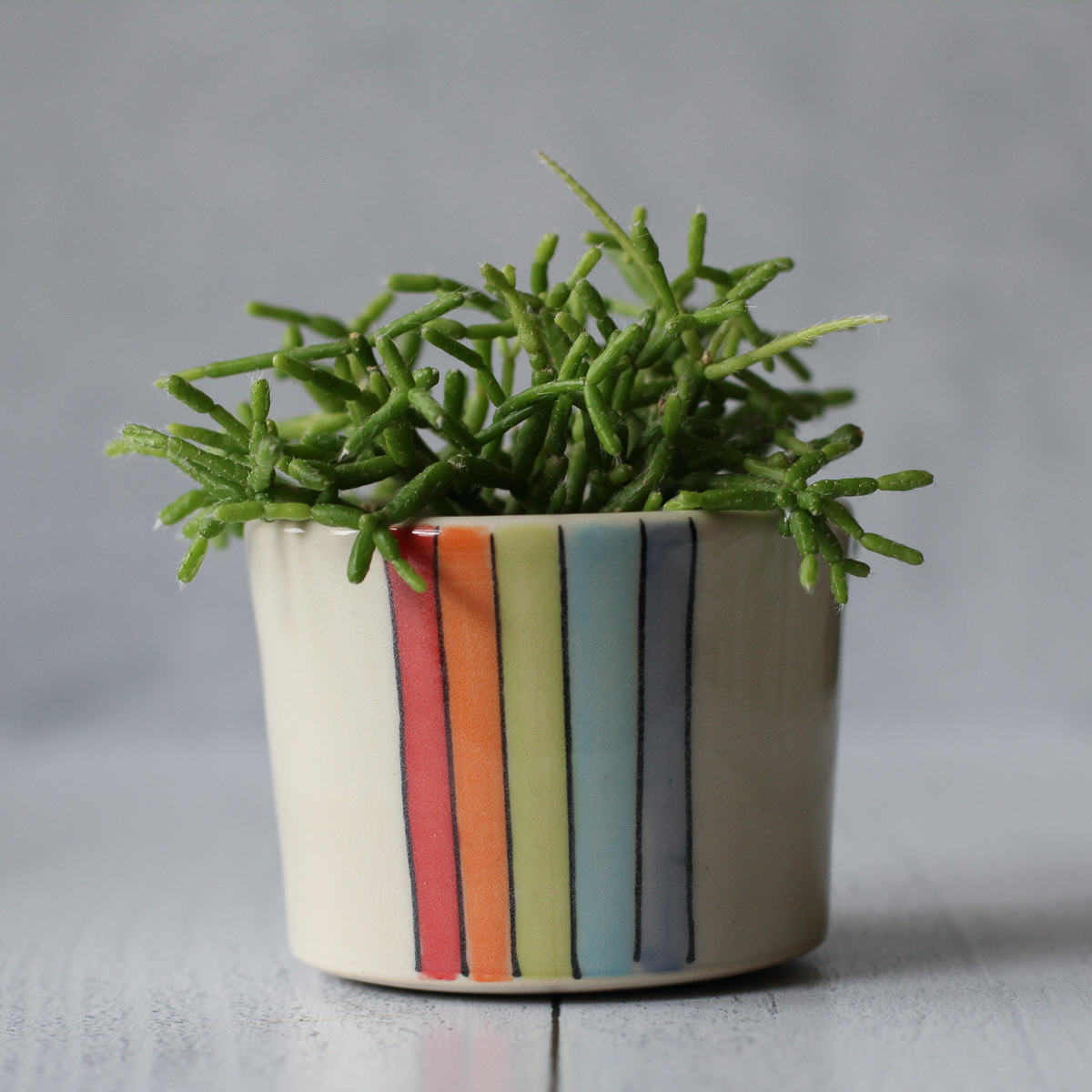 Rainbow Stripe small planter