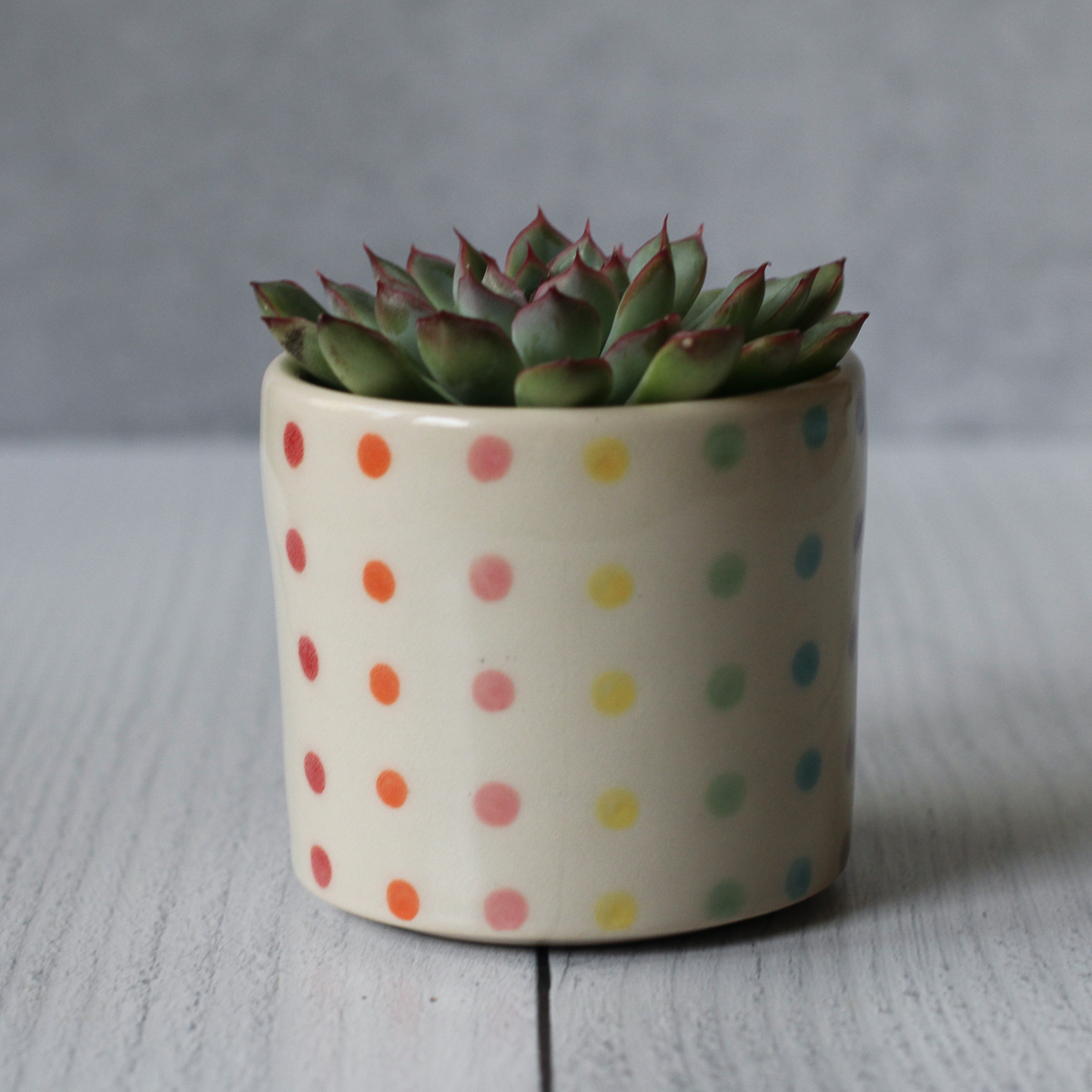 Candy Dot small planter