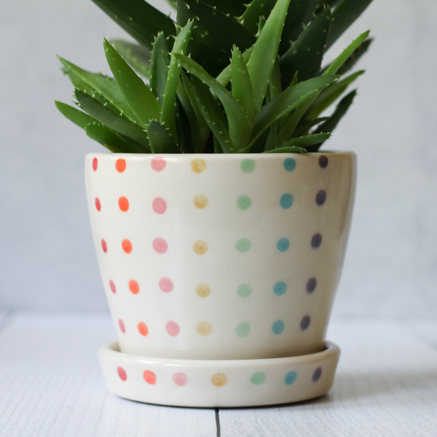 Candy Dot Planter - medium with saucer