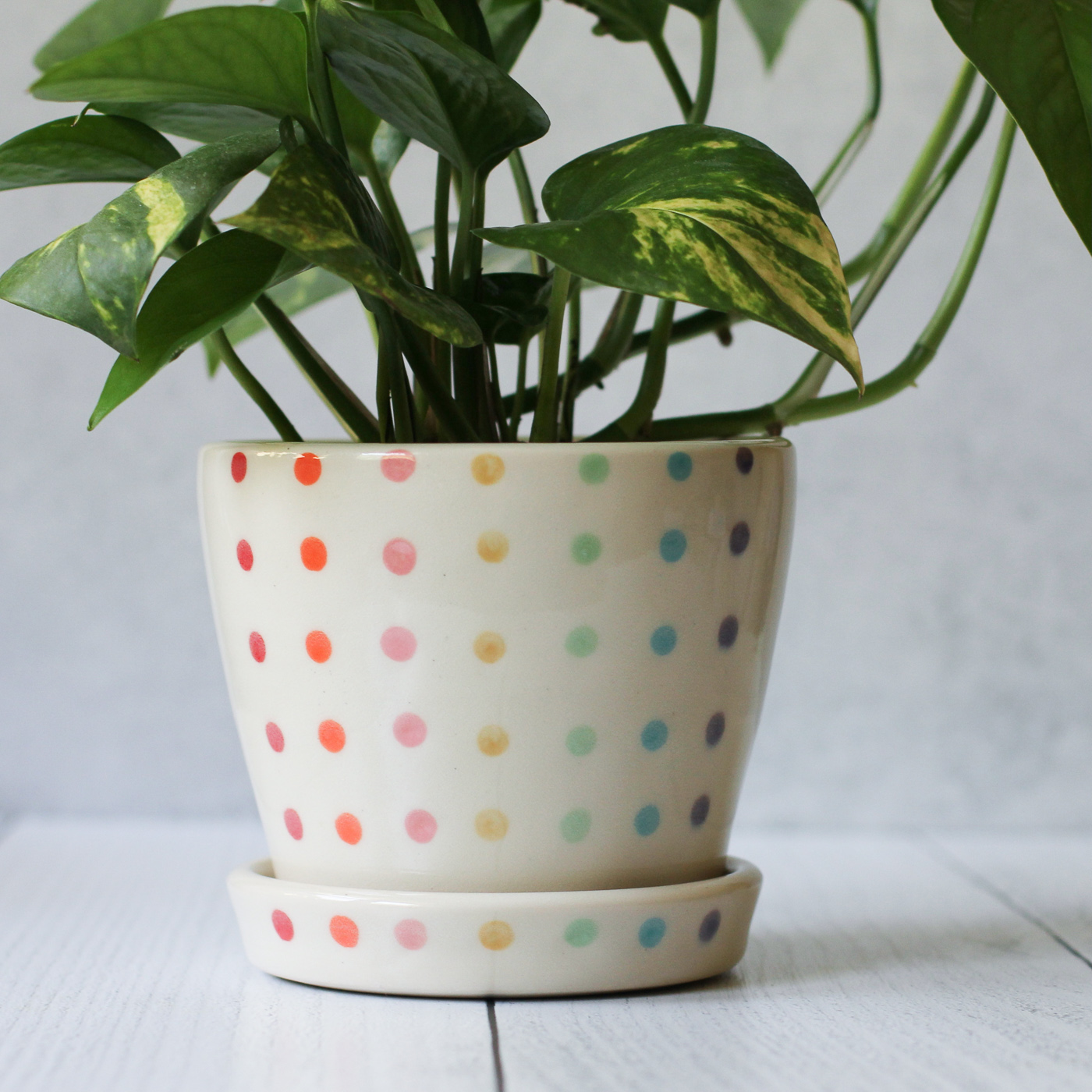 Candy Dot Planter - medium with saucer