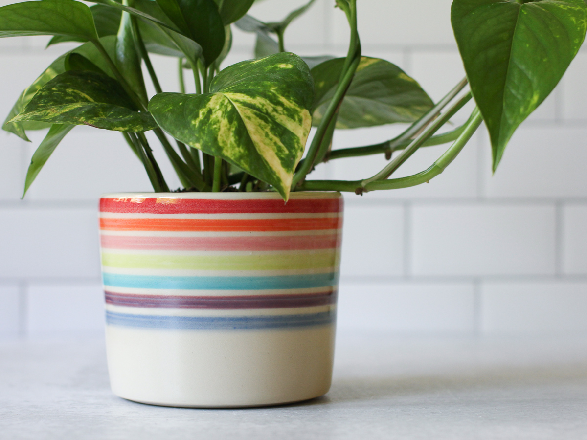 Rainbow rim medium planter