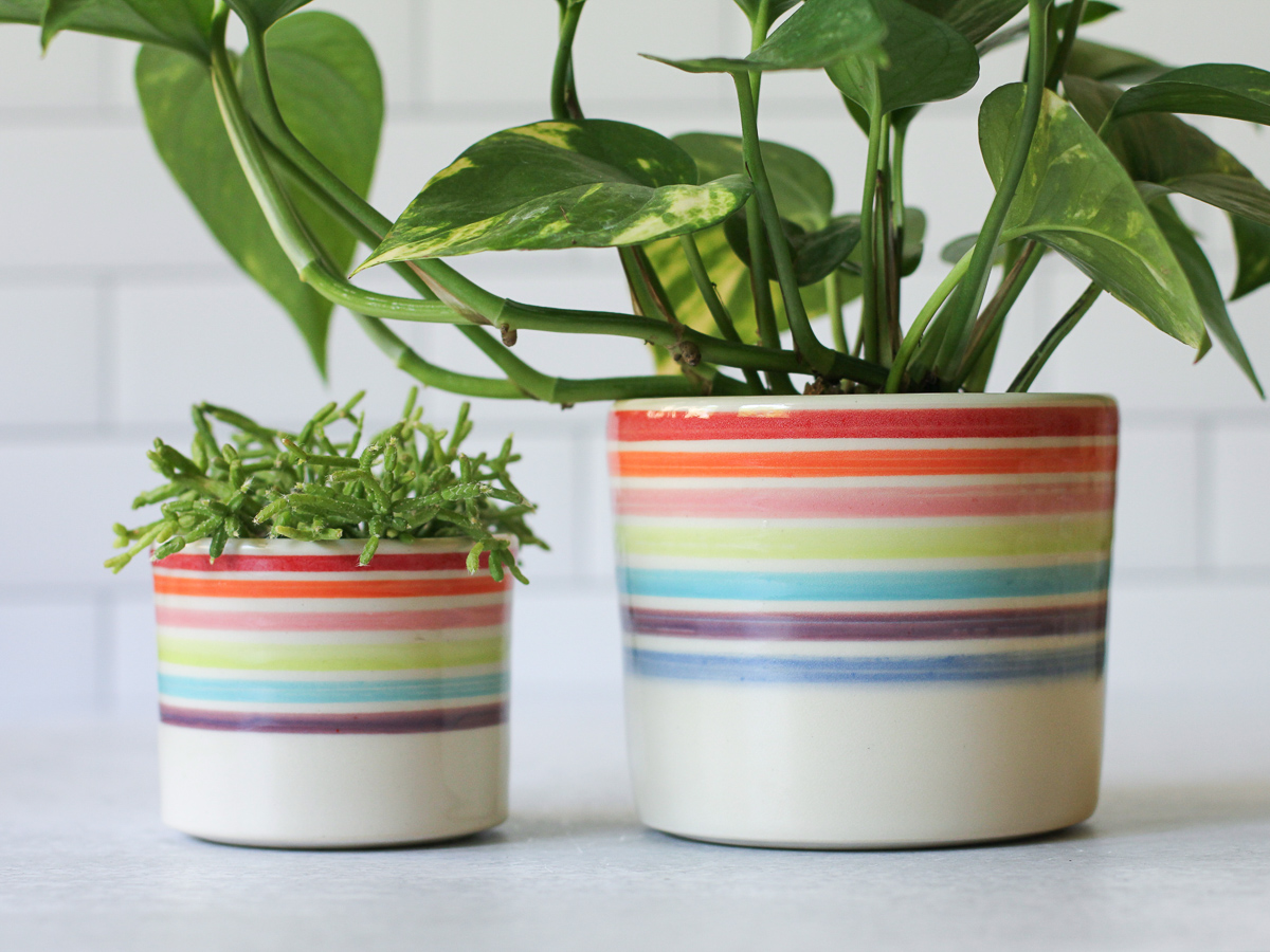 Rainbow rim medium planter