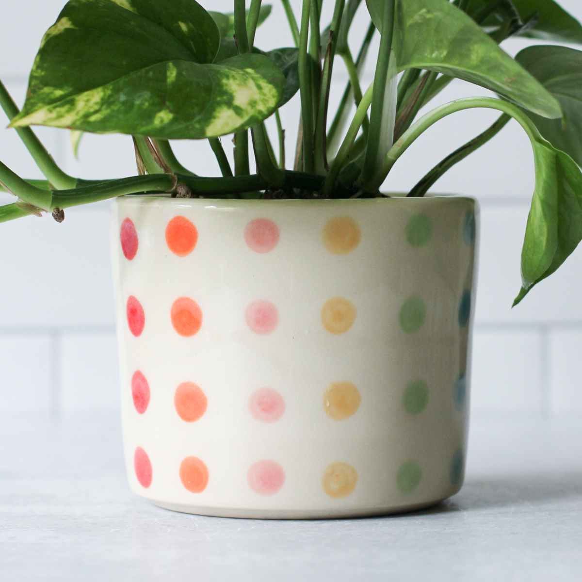 big dot planter