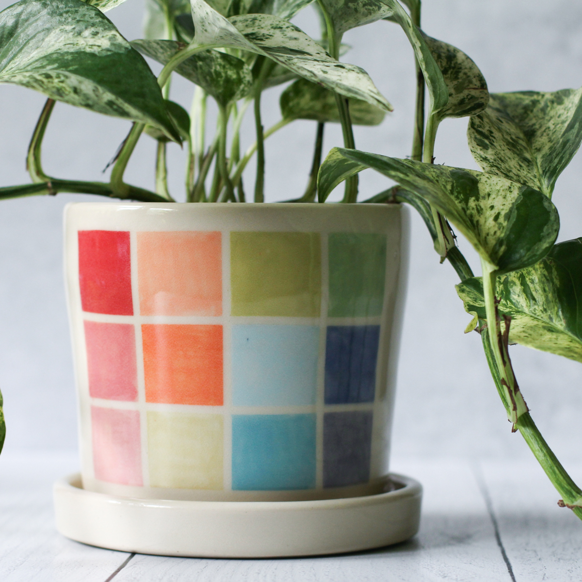 color block planter