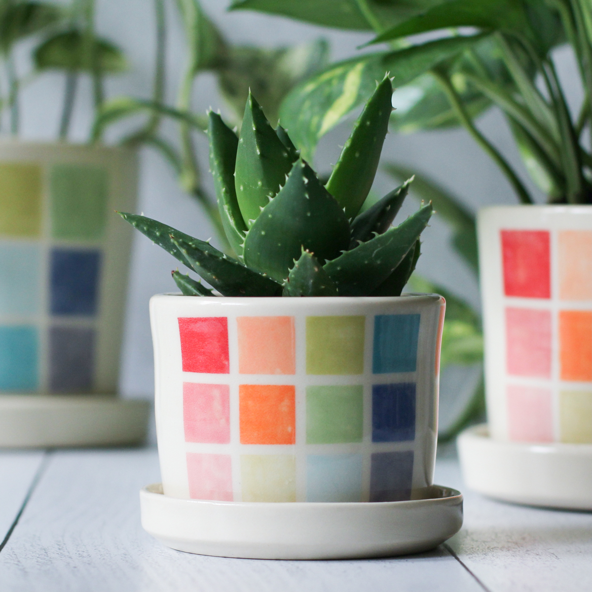 color block planter