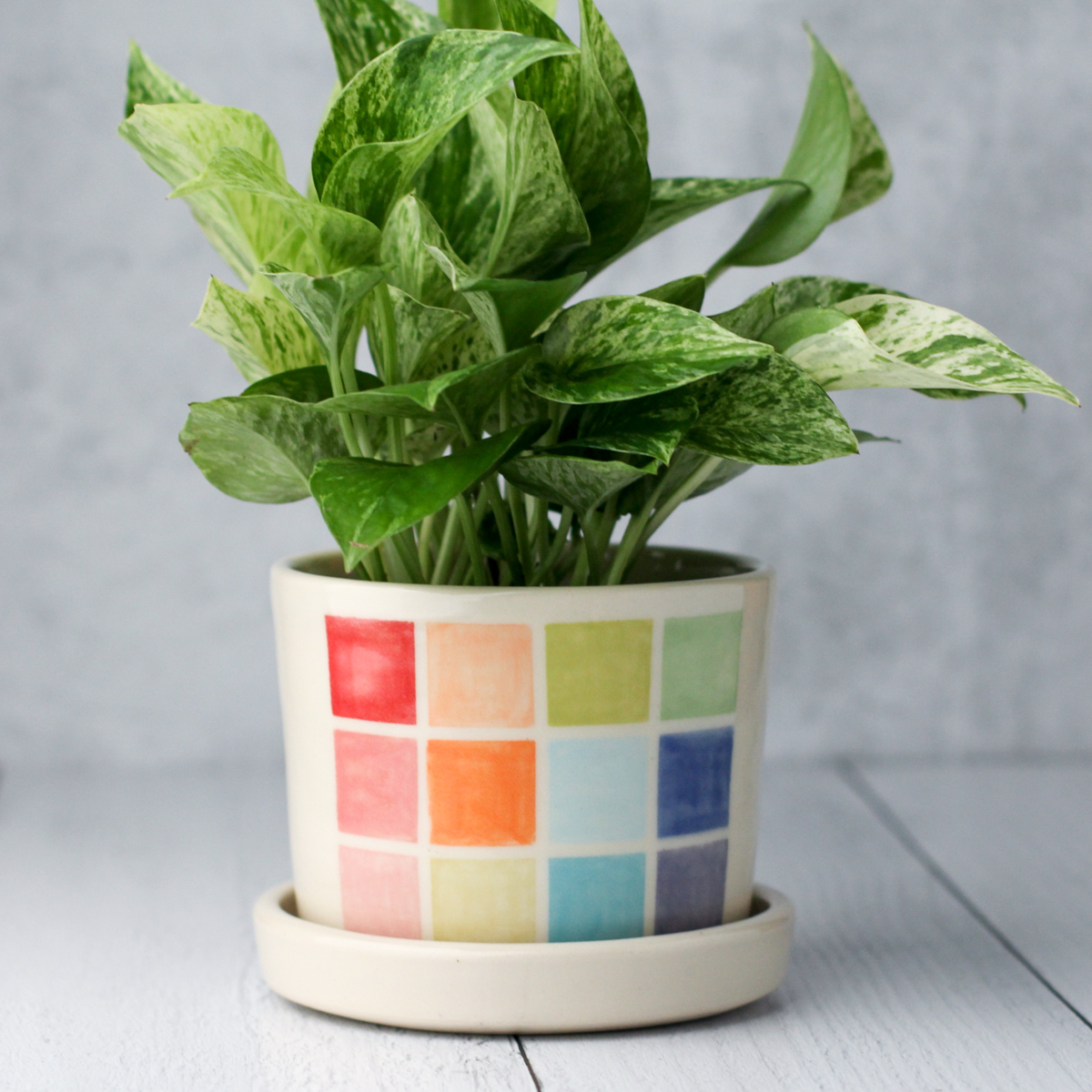 color block planter