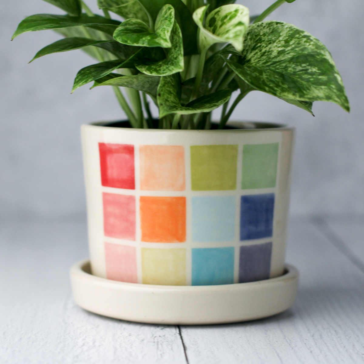 color block planter
