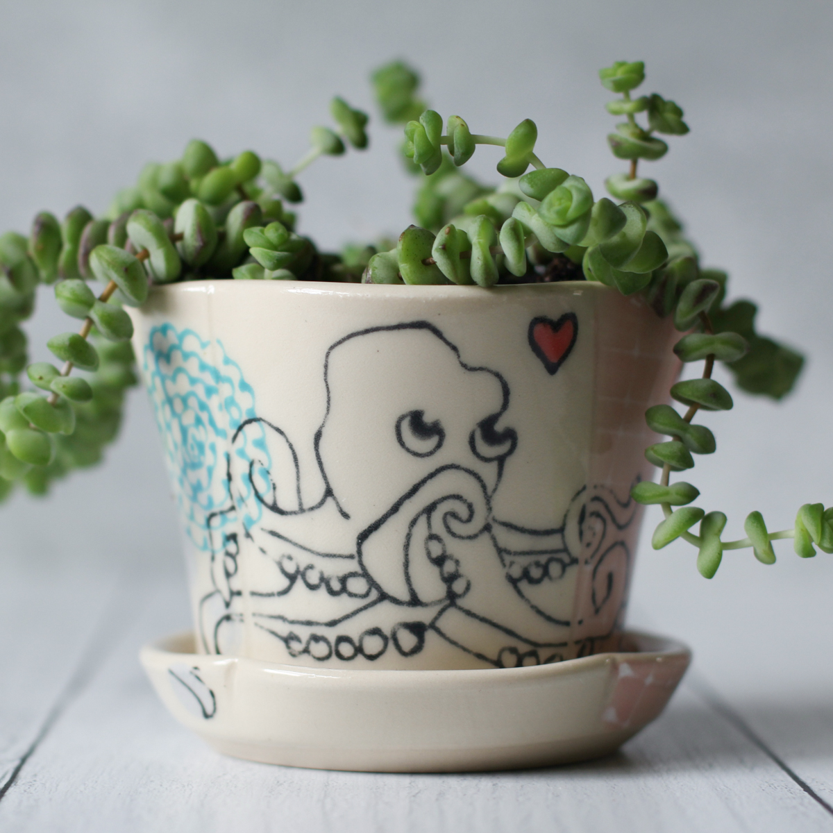 lobed planter octopus