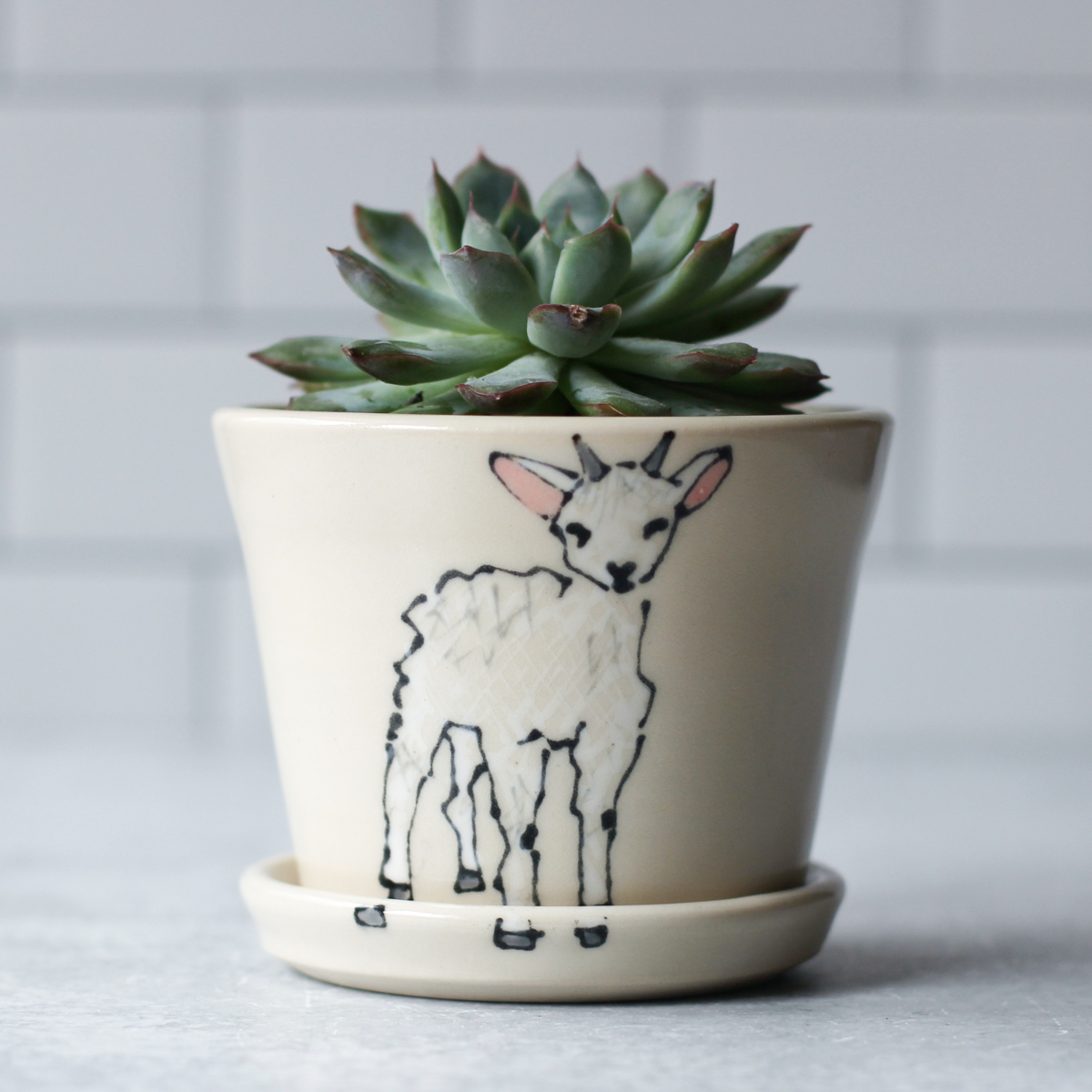 baby goat planter