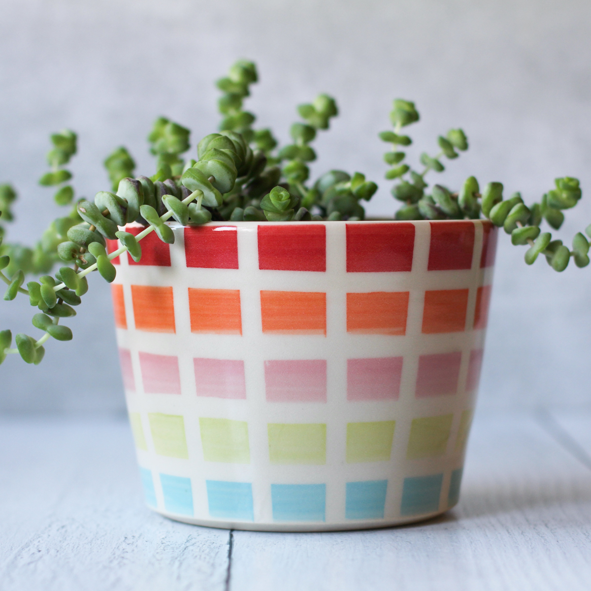 Rainbow grid medium planter