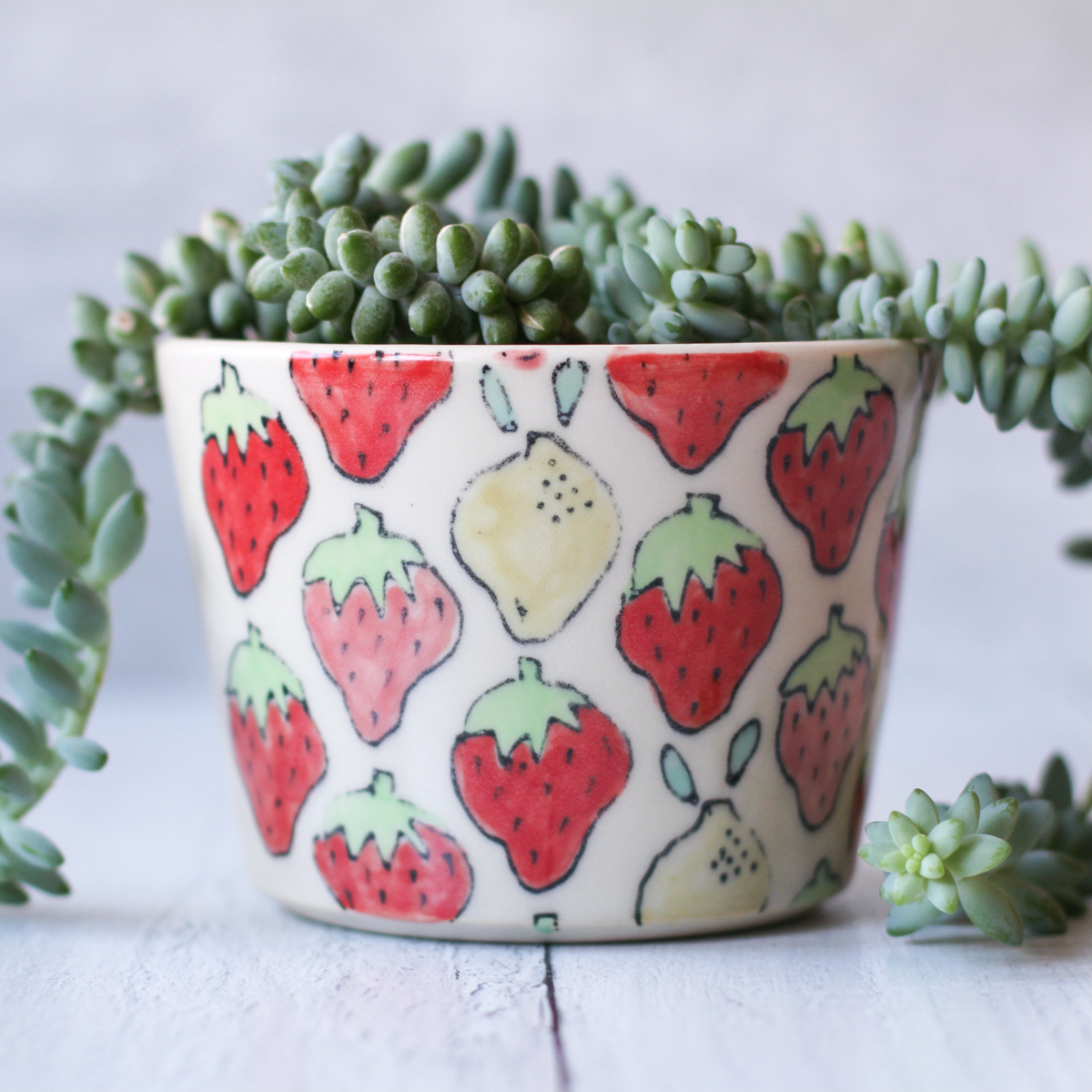 strawberry pattern planter