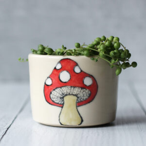 mushroom planter